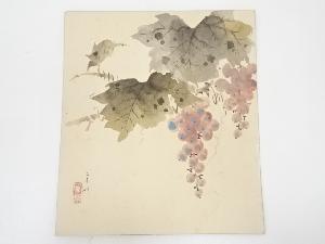 森守明筆　葡萄図　肉筆色紙